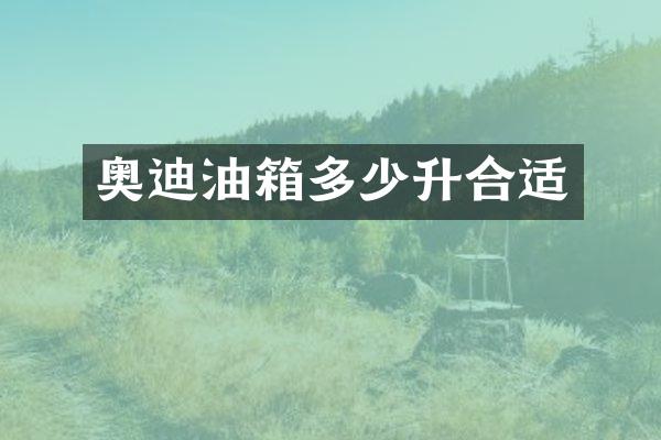 奥迪油箱多少升合适