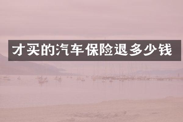 才买的汽车保险退多少钱