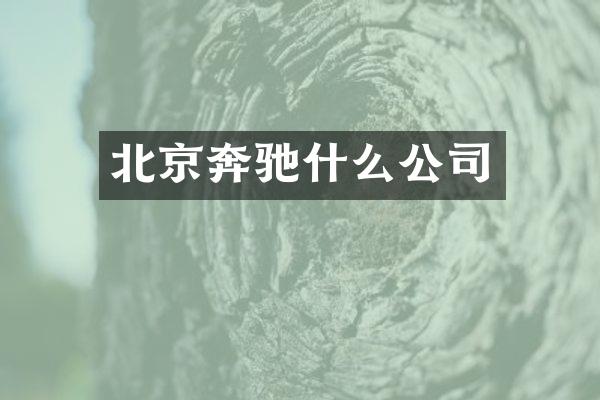 北京奔驰什么公司