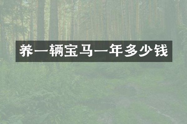 养一辆宝马一年多少钱