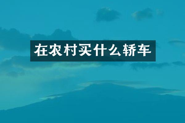 在农村轿车