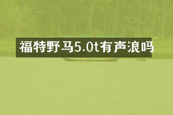 福特野马5.0t有声浪吗