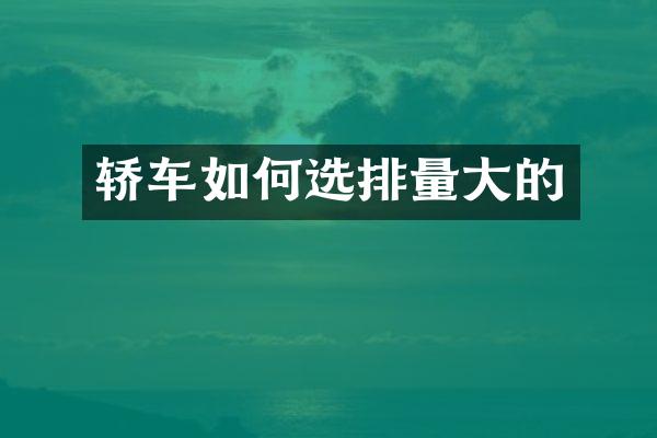 轿车如何选排量大的