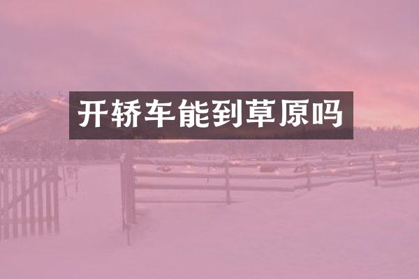 开轿车能到草原吗