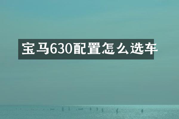 宝马630配置怎么选车