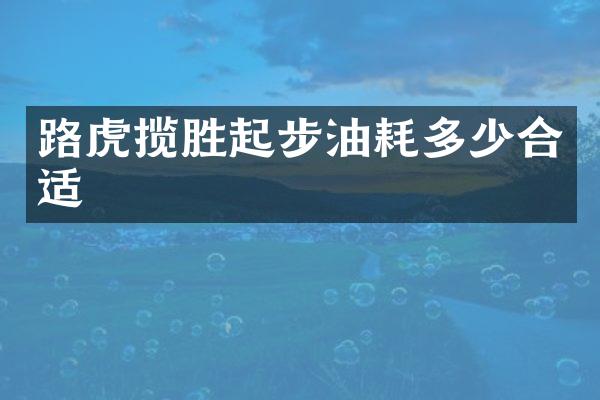 路虎揽胜起步油耗多少合适