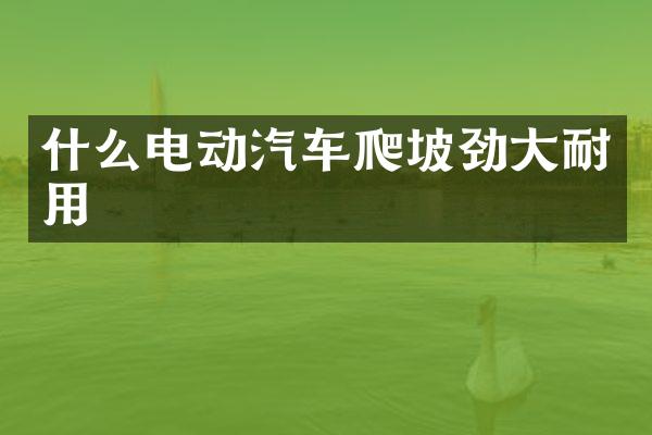 什么电动汽车爬坡劲大耐用