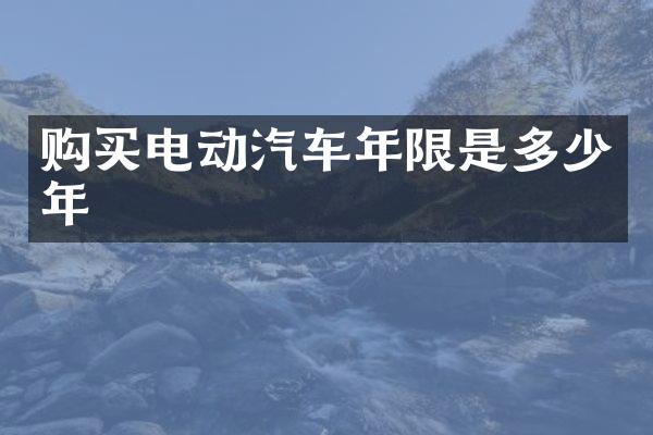 购买电动汽车年限是多少年