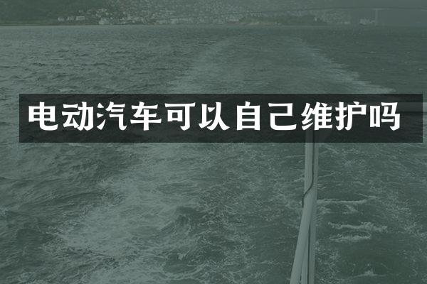 电动汽车可以自己维护吗