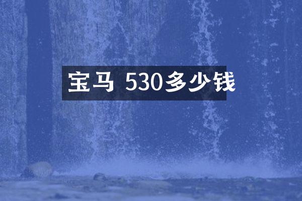 宝马 530多少钱