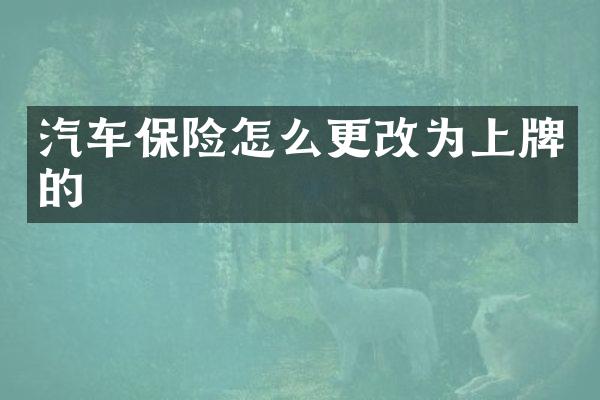 汽车保险怎么更改为上牌的