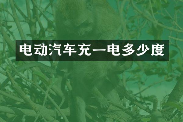 电动汽车充一电多少度