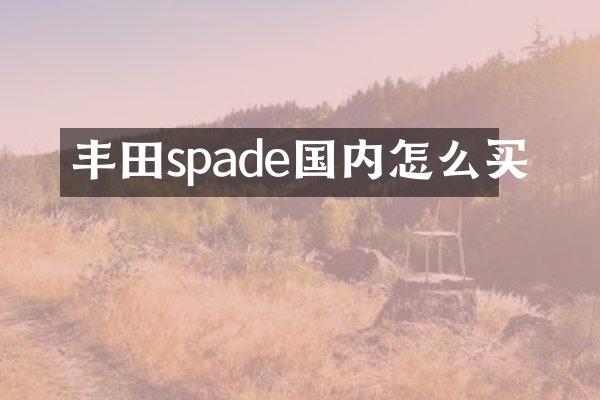 丰田spade国内怎么买