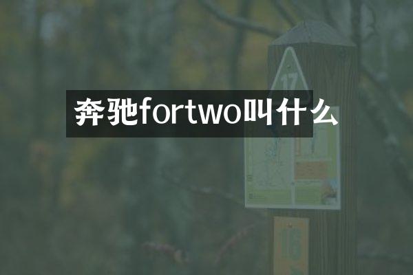 奔驰fortwo叫什么