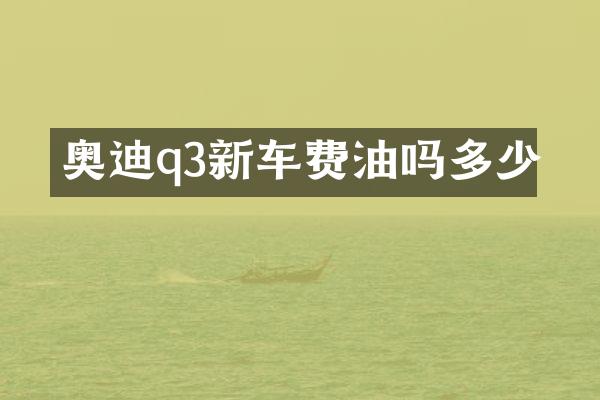 奥迪q3新车费油吗多少
