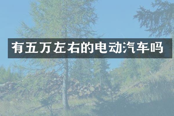 有五万左右的电动汽车吗