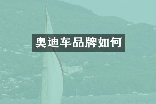 奥迪车品牌如何