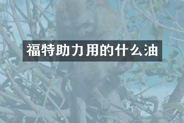 福特助力用的什么油