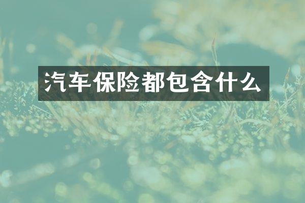 汽车保险都包含什么