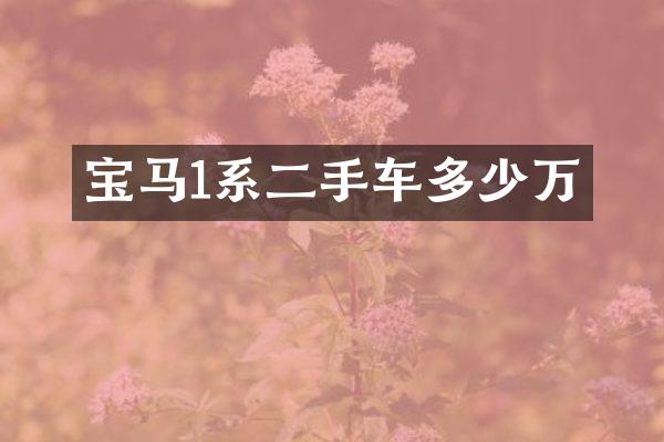 宝马1系二手车多少万