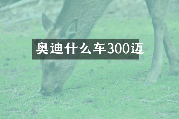 奥迪什么车300迈
