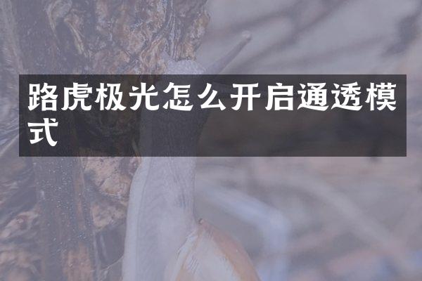 路虎极光怎么开启通透模式