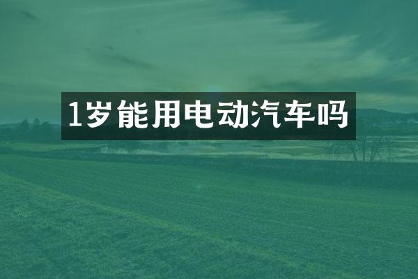 1岁能用电动汽车吗