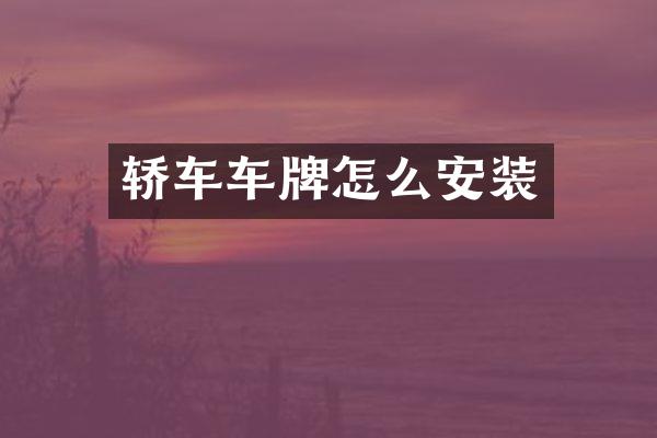 轿车车牌怎么安装