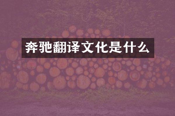 奔驰翻译文化是什么