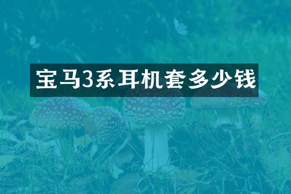 宝马3系耳机套多少钱