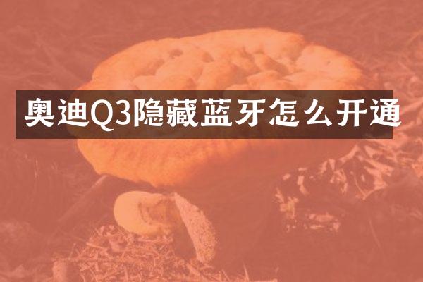 奥迪Q3隐藏蓝牙怎么开通