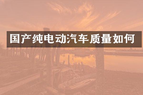 国产纯电动汽车质量如何
