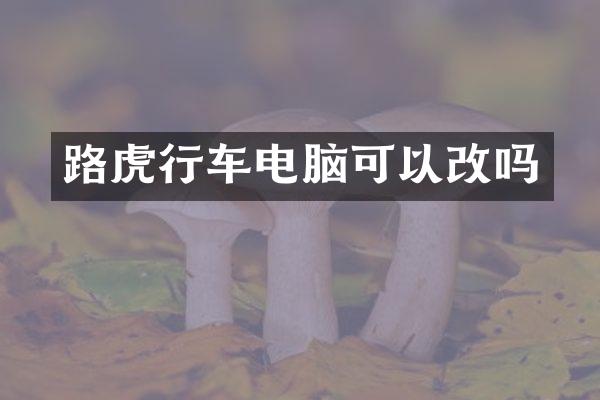 路虎行车电脑可以改吗