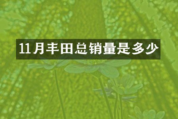 11月丰田总销量是多少