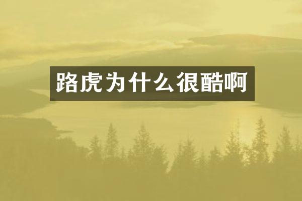 路虎为什么很酷啊