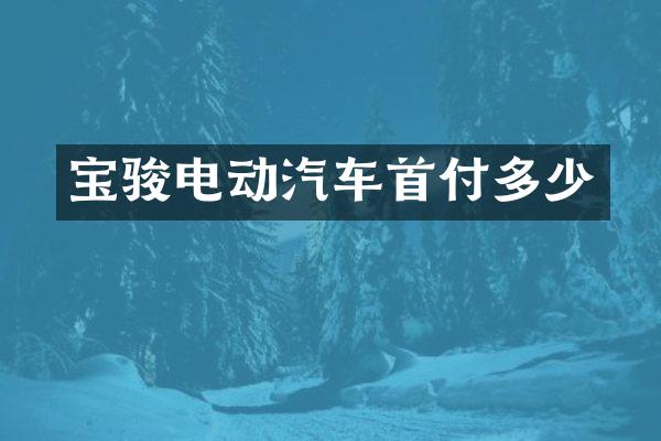 宝骏电动汽车首付多少