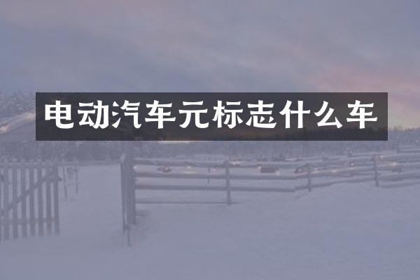 电动汽车元标志什么车