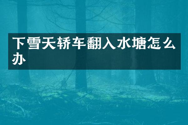 下雪天轿车翻入水塘怎么办