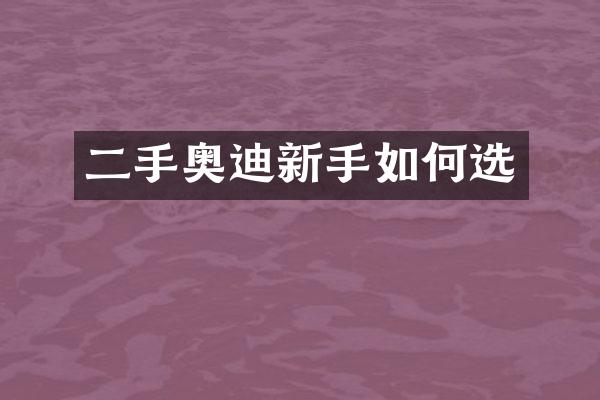 二手奥迪新手如何选