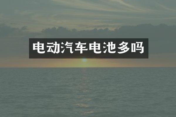 电动汽车电池多吗