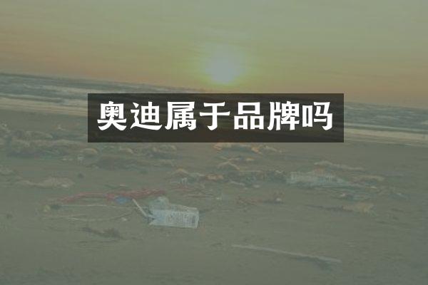 奥迪属于品牌吗