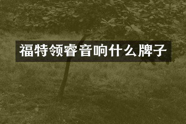福特领睿音响什么牌子