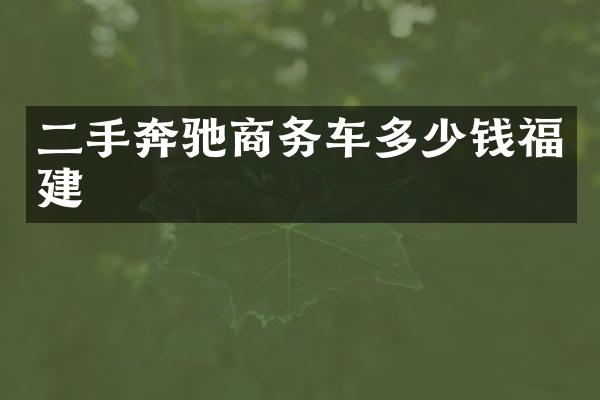 二手奔驰商务车多少钱福建