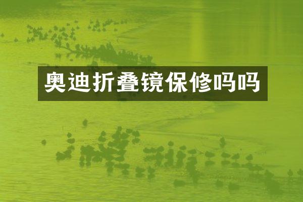 奥迪折叠镜保修吗吗