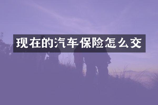 现在的汽车保险怎么交