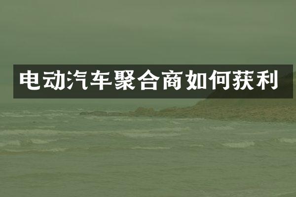 电动汽车聚合商如何获利