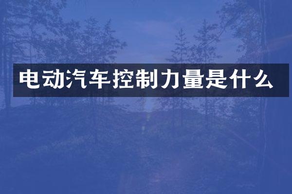 电动汽车控制力量是什么