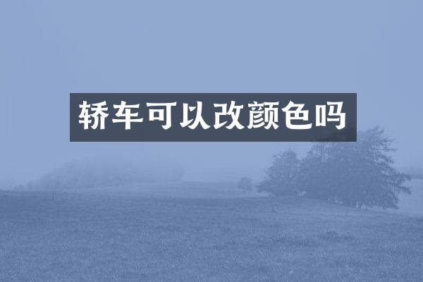 轿车可以改颜色吗