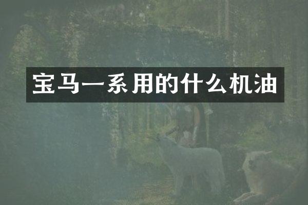 宝马一系用的什么机油