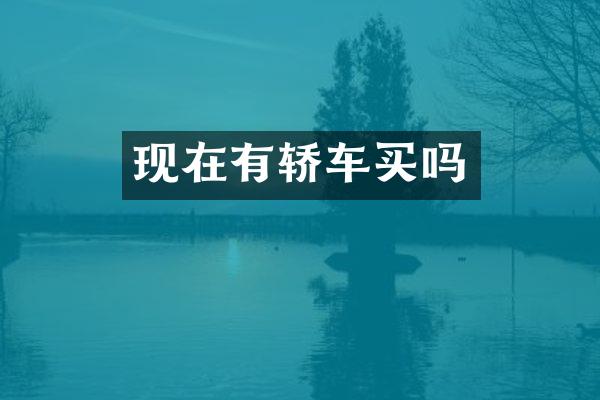 现在有轿车买吗